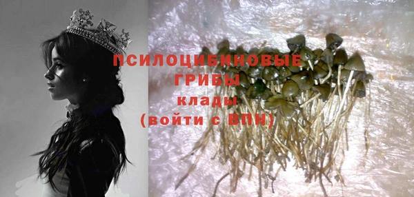 альфа пвп Корсаков