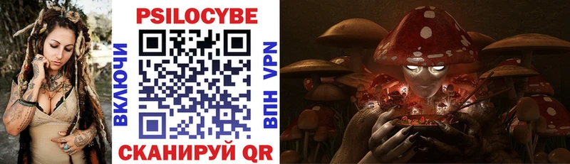 Псилоцибиновые грибы Magic Shrooms  Купить где  Верхний Тагил 