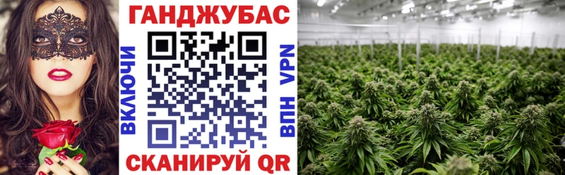 Канабис сатива Купить закладки Верхний Тагил